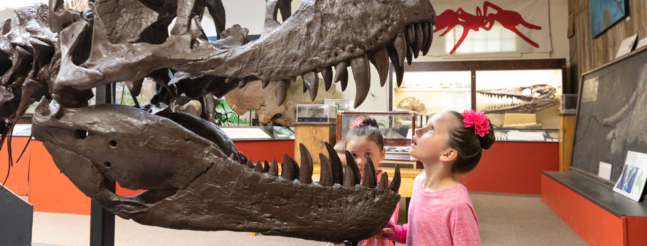 Dinosaurs Visit Southeast Montana